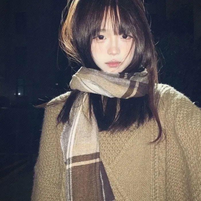 极地先锋