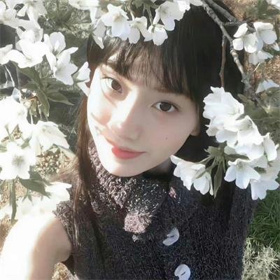 虎鲨王